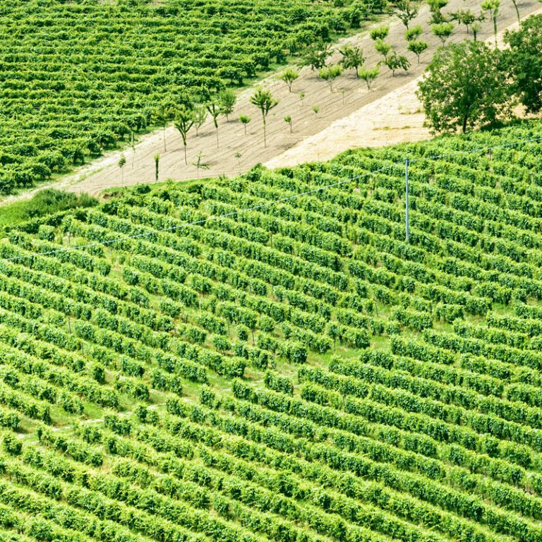 Home Capo Zafferano uk Capo Zafferano