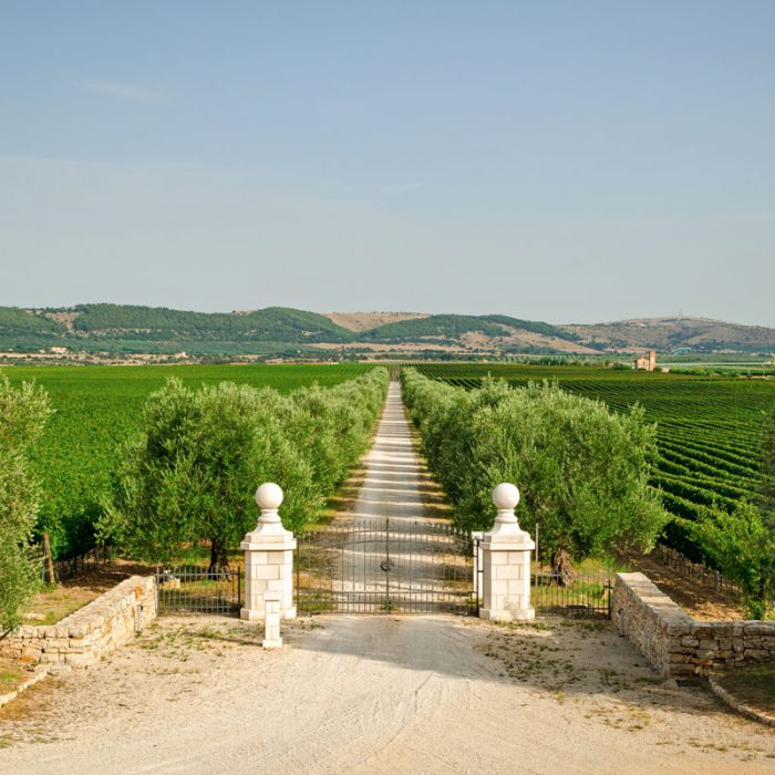 Capo Zafferano Primitivo di Manduria